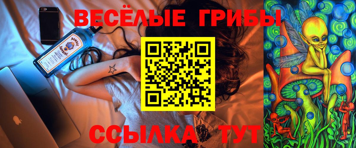 Псилоцибиновые грибы GOLDEN TEACHER Тольятти