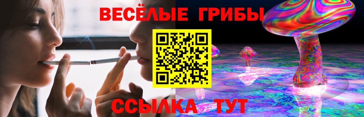 Галлюциногенные грибы Psilocybine cubensis  Вход с VPN  Псилоцибиновые грибы мухоморы  Тольятти 